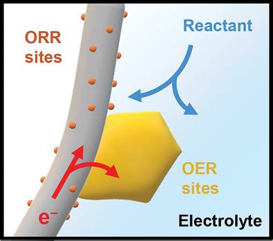 Multiscale Construction of Bifunctional Electrocatalysts for Long .